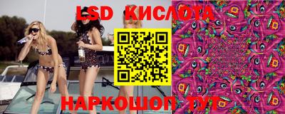 герыч Кингисепп