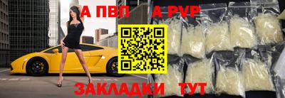 герыч Кингисепп